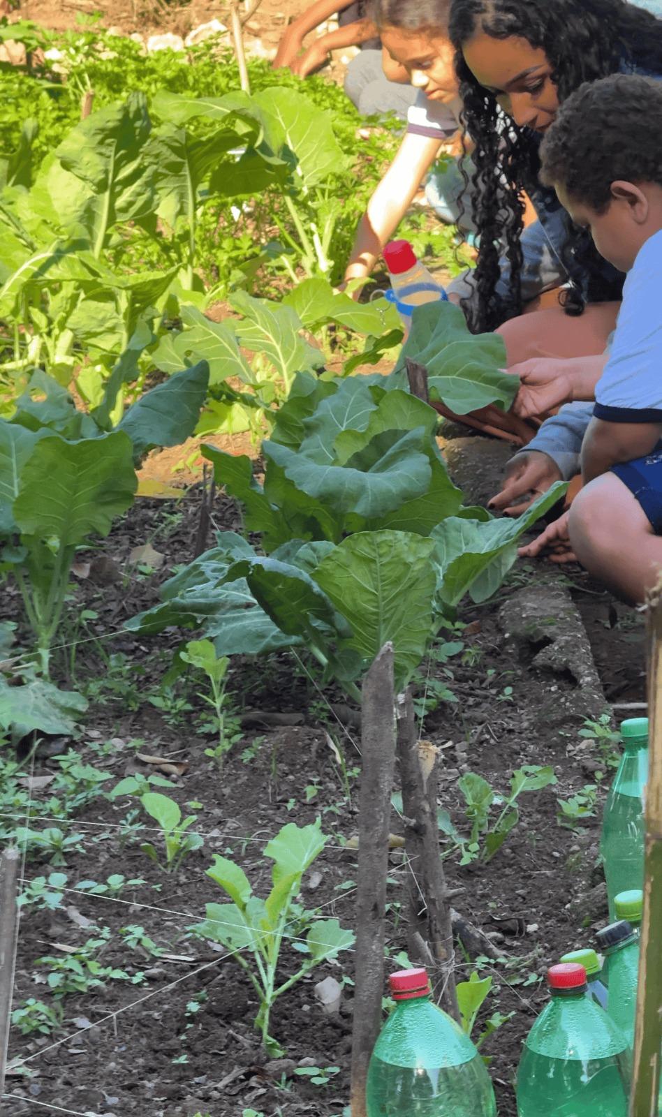 Projeto de hortas escolares avança e chega a novas unidades de Itabira