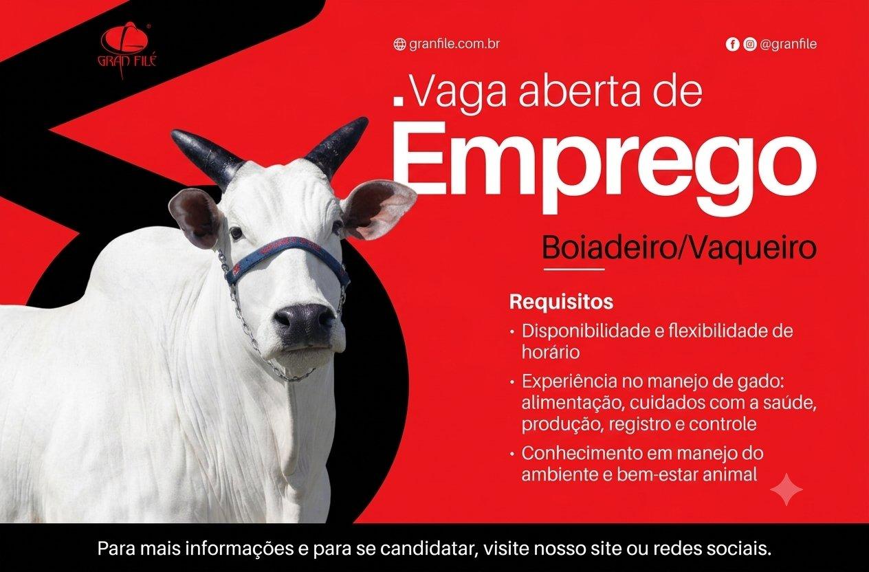 Gran Filé abre vaga para Boiadeiro/Vaqueiro com experiência em Itabira
